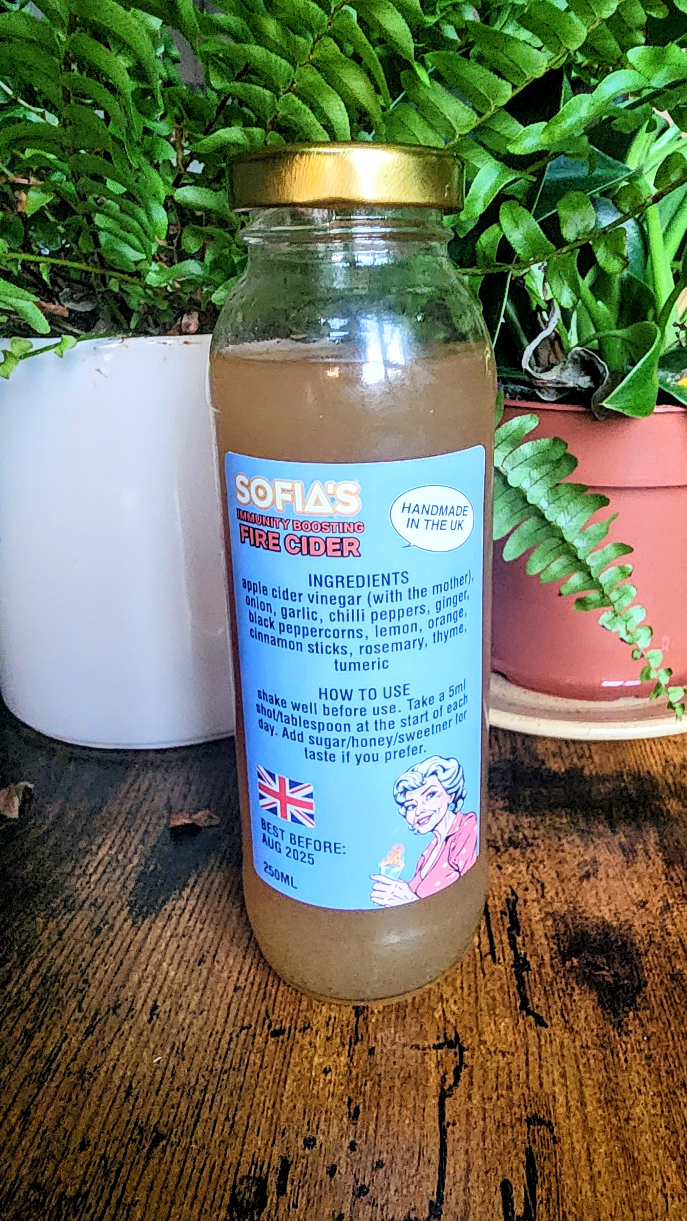 Sofia's Home Made Immunity Boosting Fire Cider - With the Mother